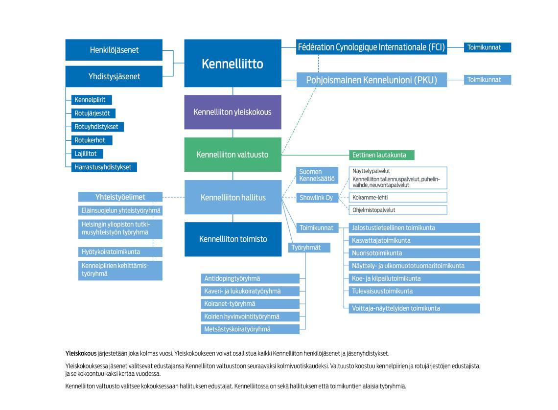 Kennelliiton organisaatio 2025